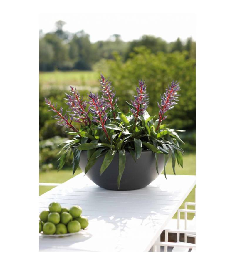 Pure Soft Bowl plantenbak fuchsia